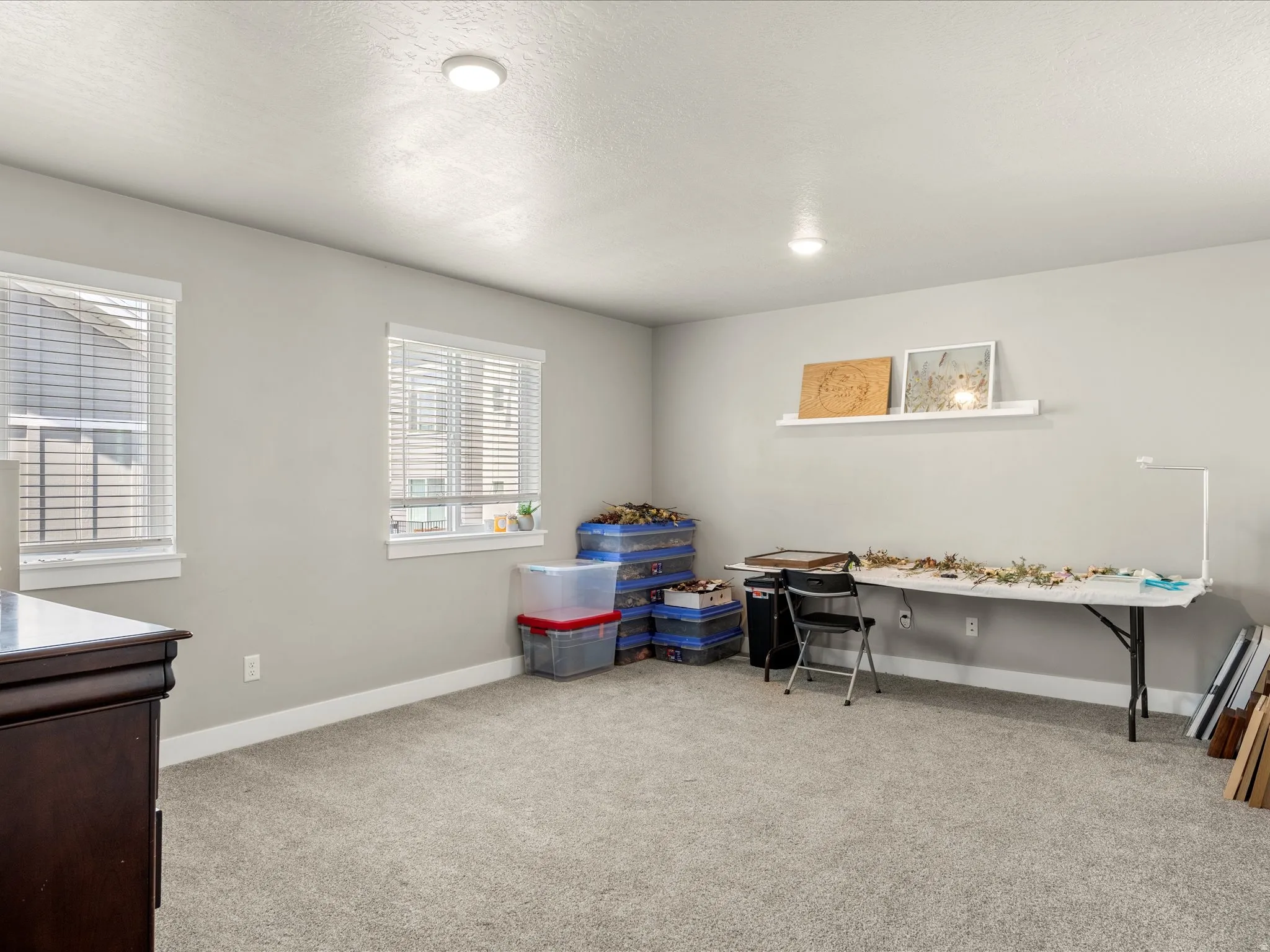 Spacious room featuring neutral carpeting and light gray walls
