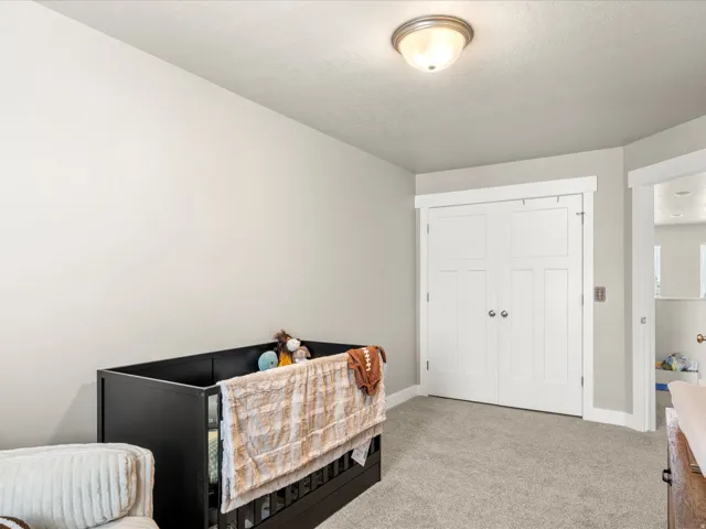 Soft gray carpeting complemented by a flush mount ceiling light
