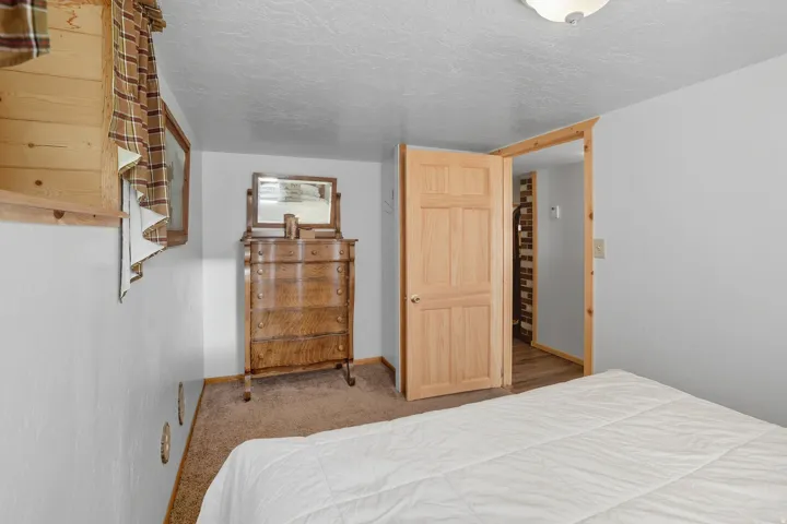 Carpeted room featuring a natural wood-finish door, white walls, and a ceiling-mounted light fixture