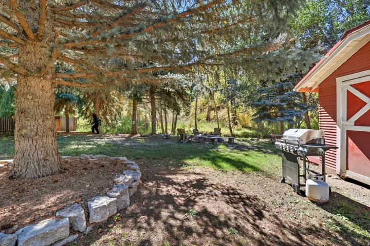 Expansive backyard featuring mature trees, a stone-lined tree base, and a red-sided outbuilding with white trim