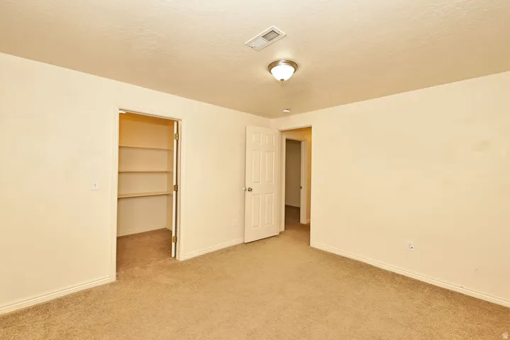 Carpeted room featuring a built-in closet with shelving, a ceiling-mounted light fixture, and two interior doorways