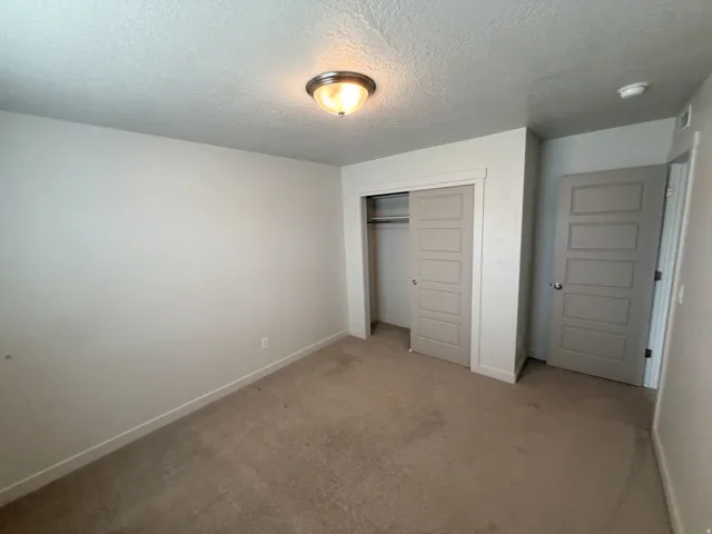 Neutral wall colors define this room, featuring a flush-mount ceiling light fixture, carpeted flooring, a paneled sliding closet door, and a paneled entry door