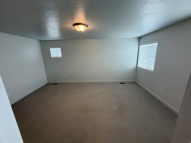 Spacious interior room featuring neutral wall paint, textured ceiling, a flush mount ceiling light fixture, multiple windows with blinds, and carpet flooring
