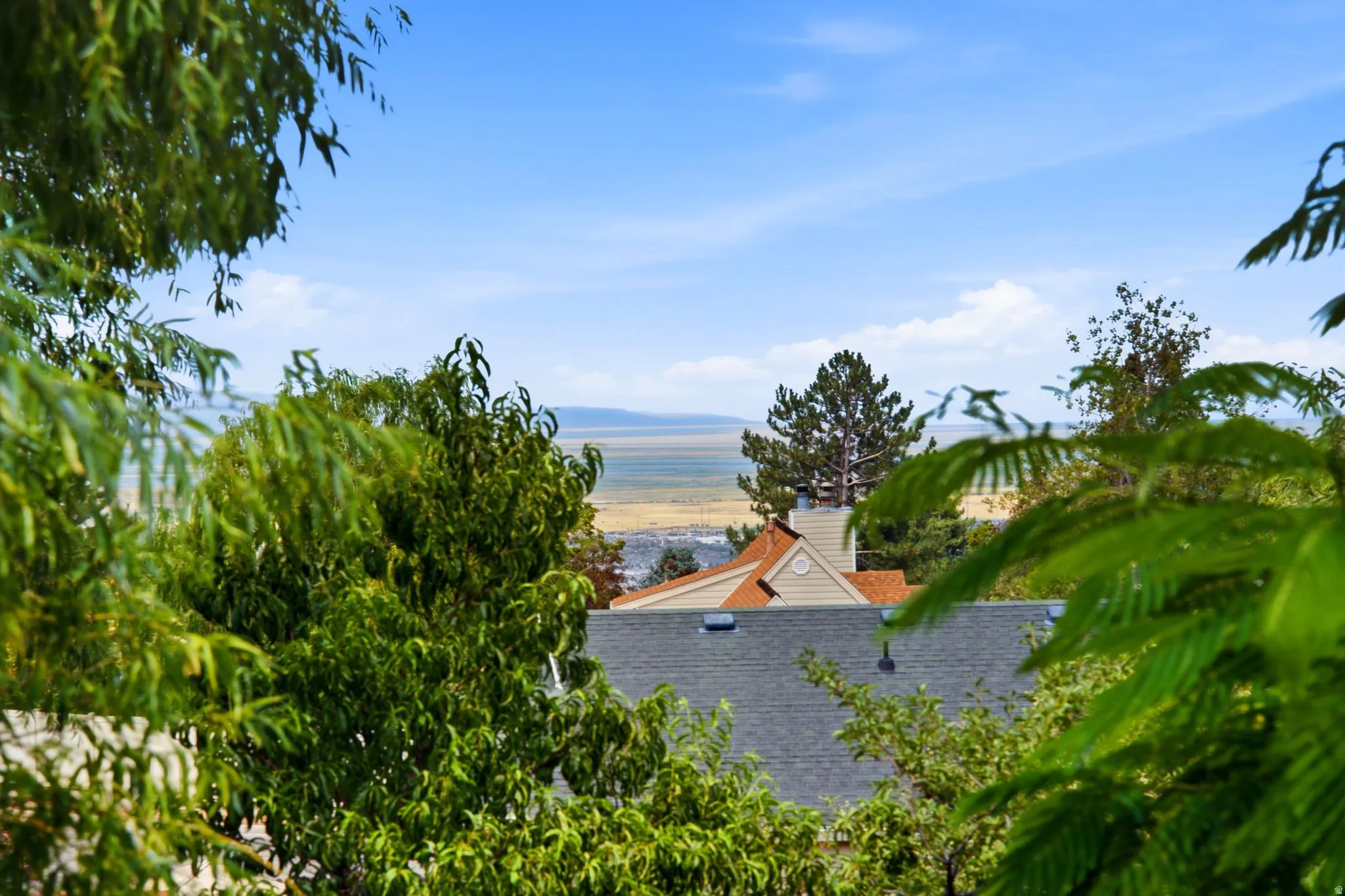 Expansive outdoor scenery featuring distant water and land formations under a blue sky, framed by mature green foliage