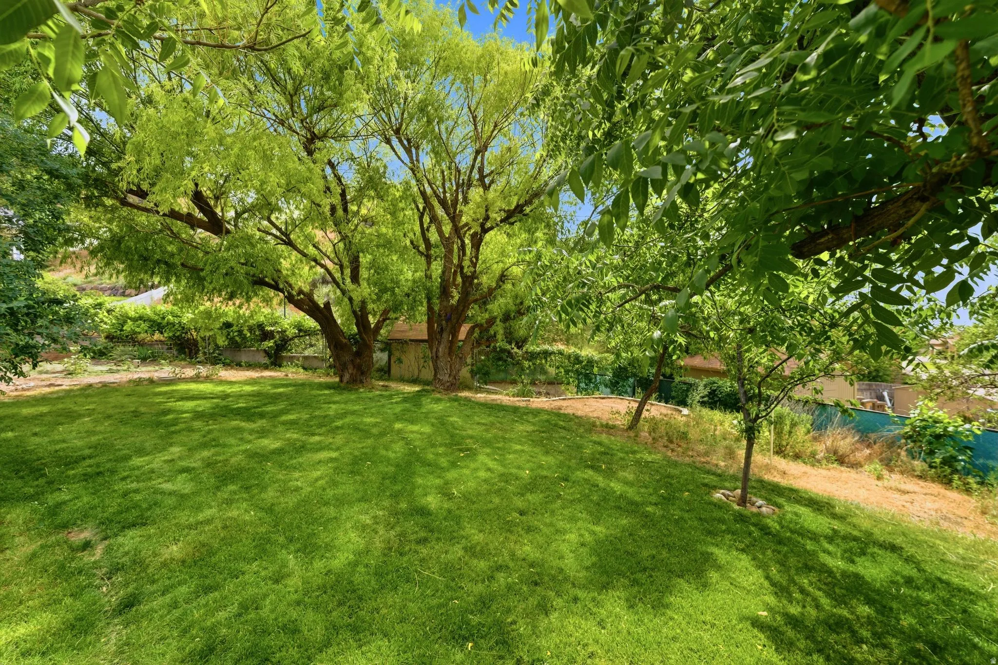 Expansive green lawn with mature trees providing ample shade