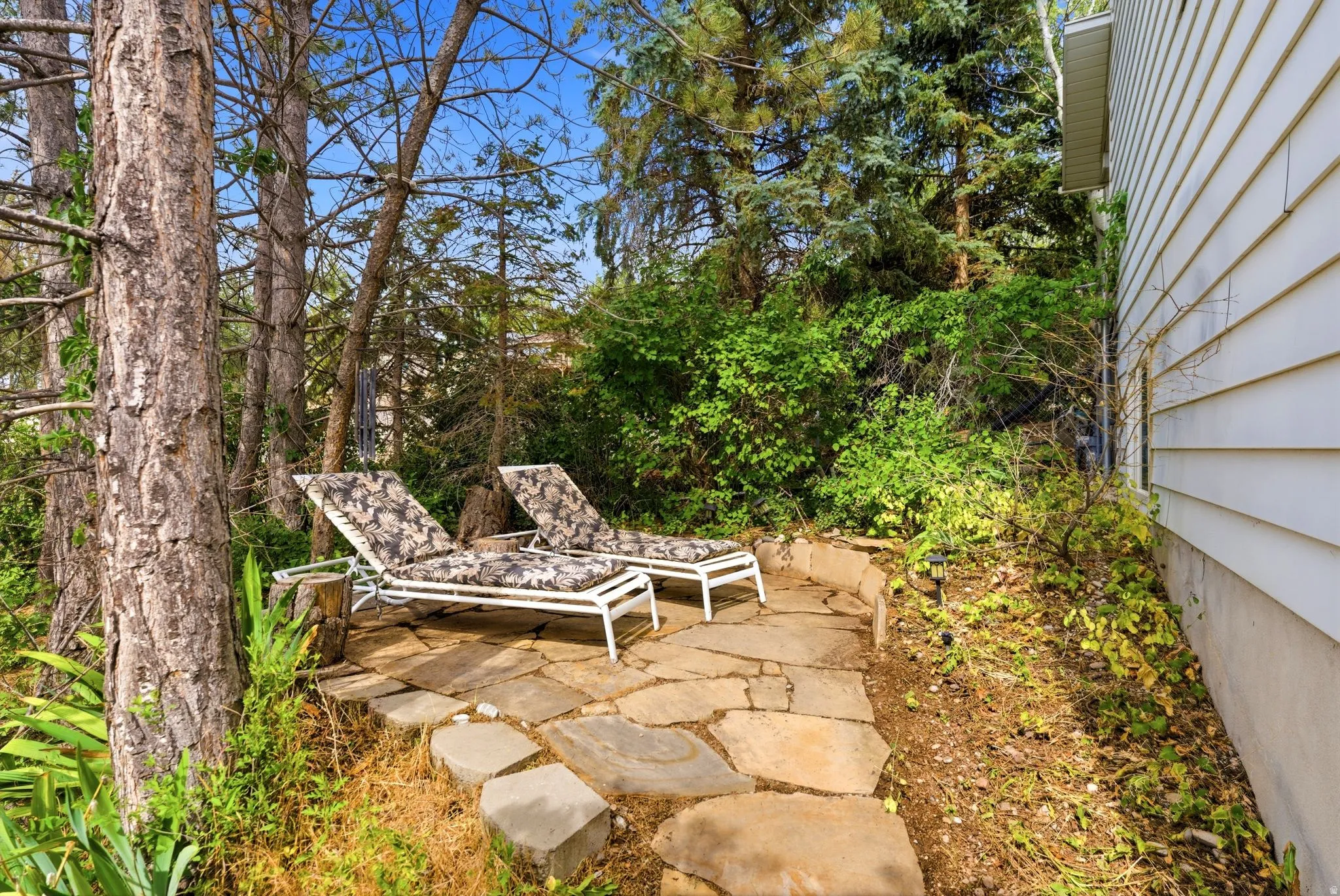 Stone patio area with a flagstone surface, surrounded by mature trees and lush plantings