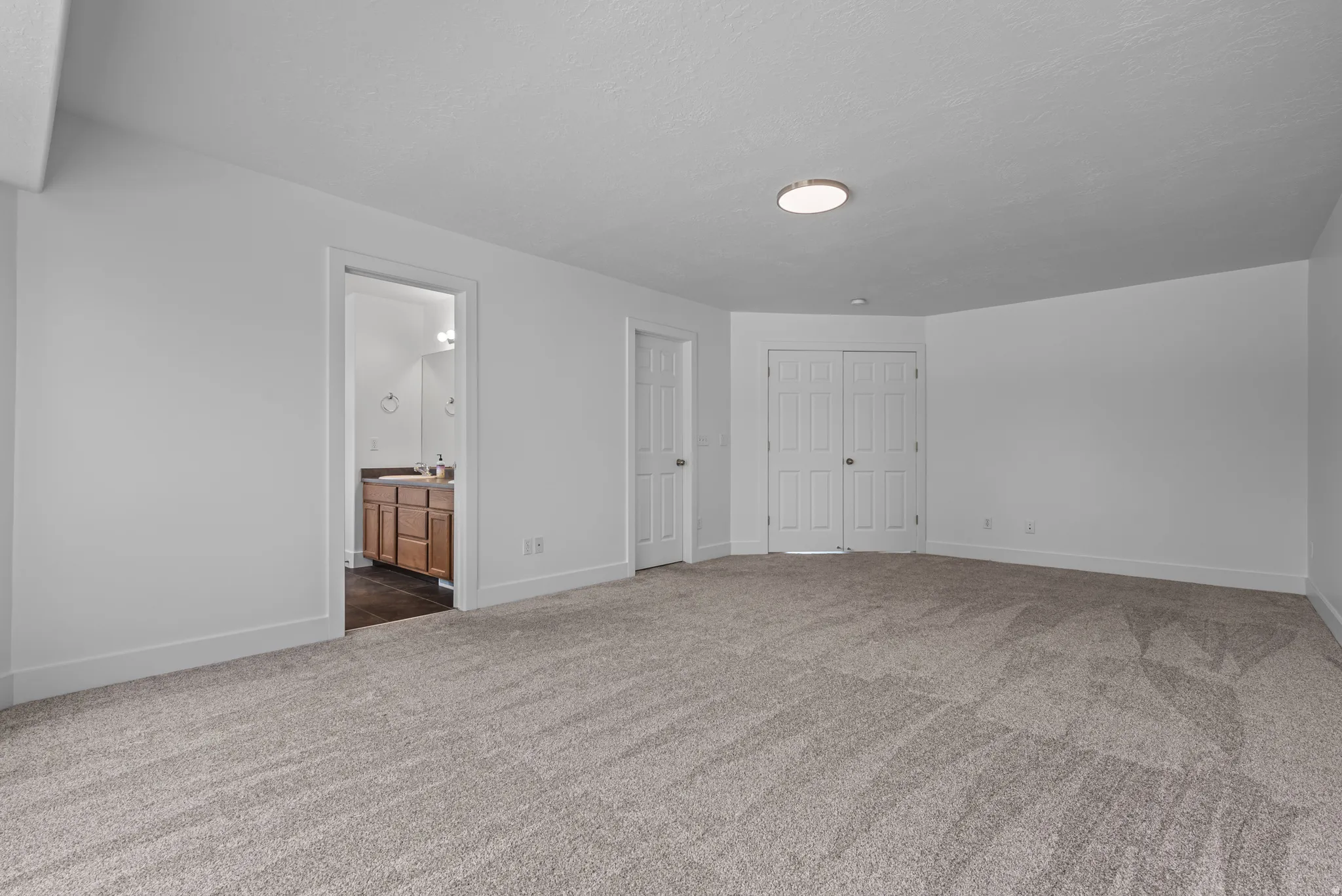 Spacious room featuring neutral carpet flooring, light gray wall paint, and white trim
