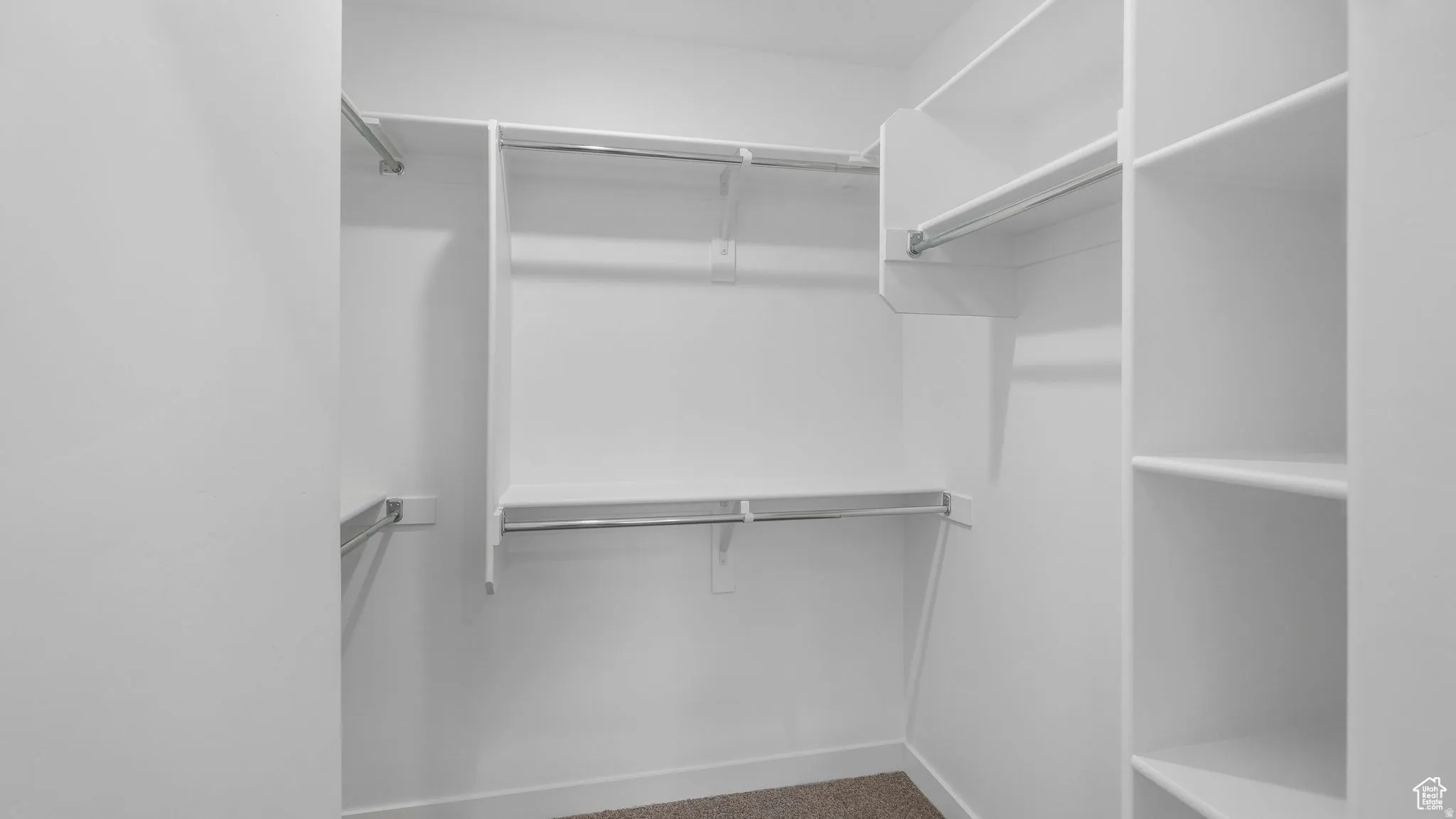 Walk-in closet featuring built-in shelving, multiple hanging rods, white walls, and carpet flooring