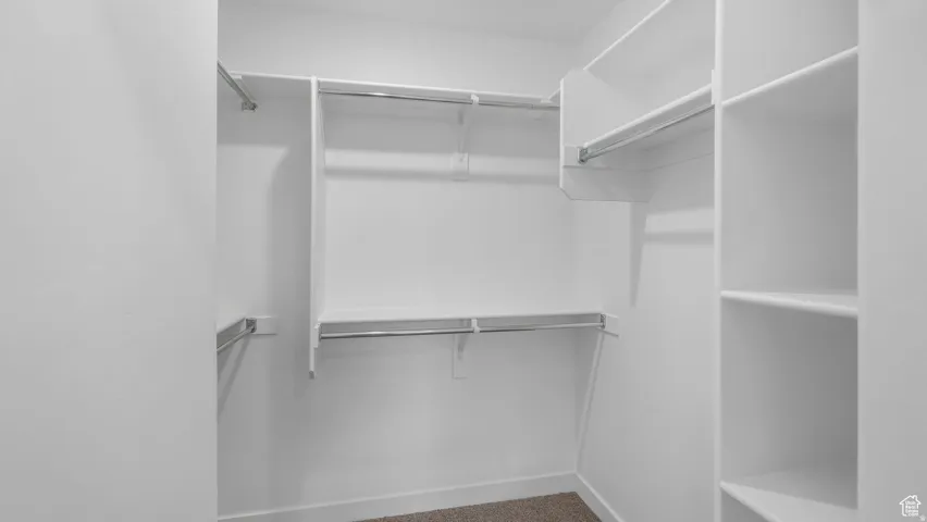 Walk-in closet featuring built-in shelving, multiple hanging rods, white walls, and carpet flooring