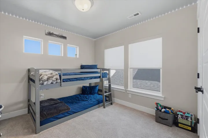 Carpeted room featuring multiple windows with roller shades, a flush-mount ceiling light, and a white paneled door with black hardware
