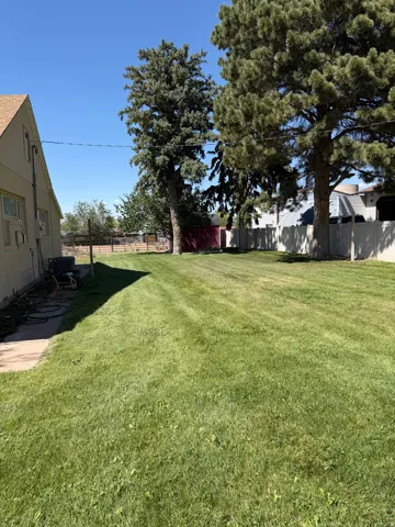 Spacious rear yard featuring an expansive lawn, mature evergreen trees, and a concrete patio