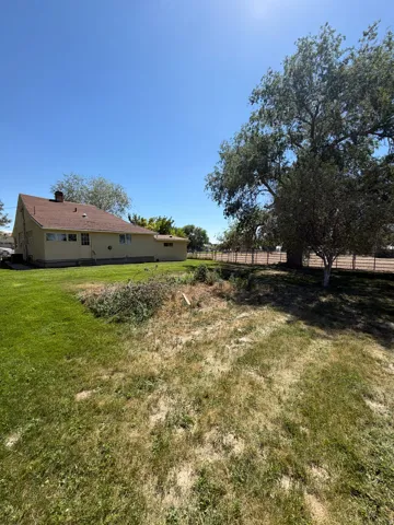 Expansive backyard featuring a partial manicured lawn, established trees, and a perimeter fence