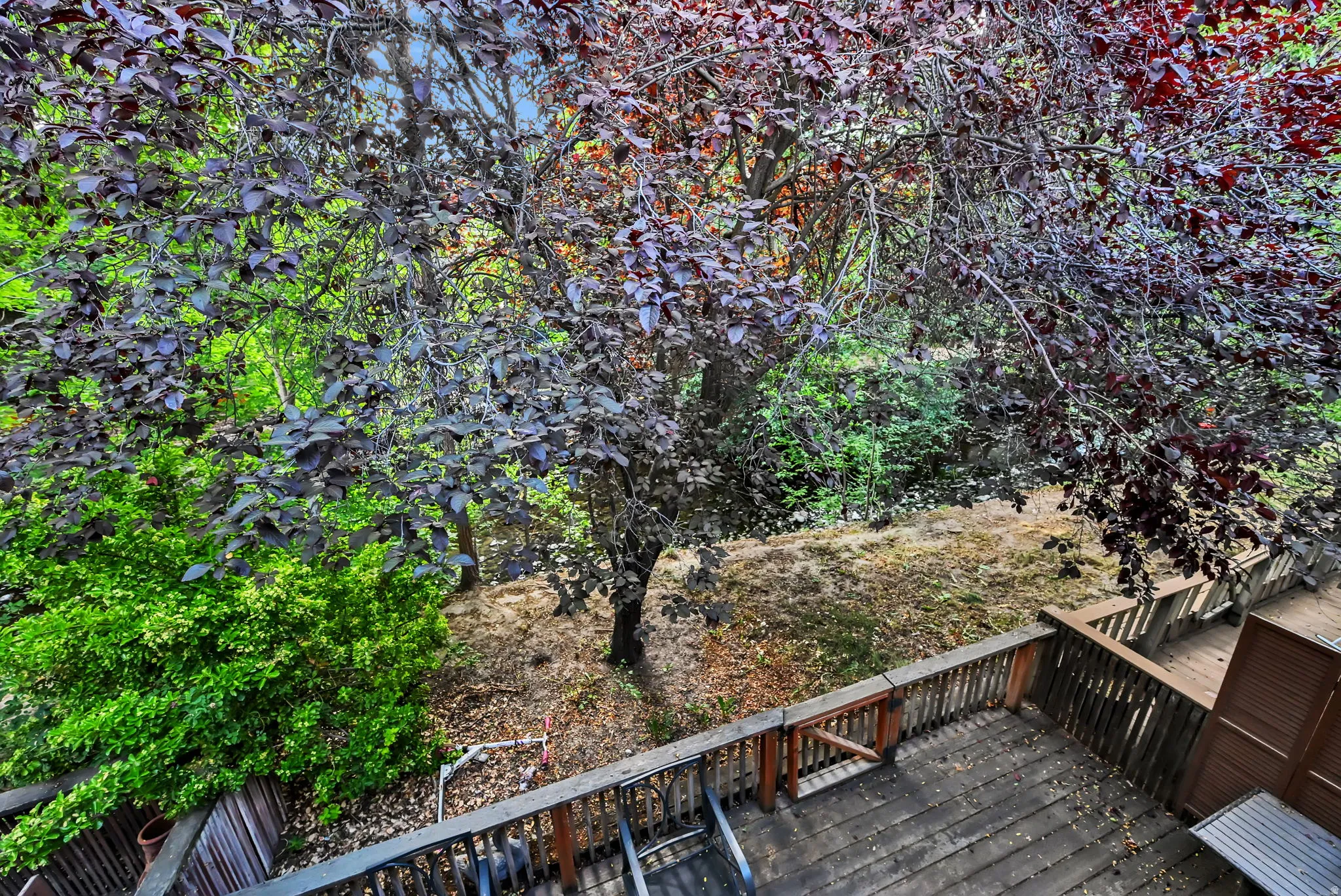 Outdoor wooden deck with railing, surrounded by mature trees and lush foliage
