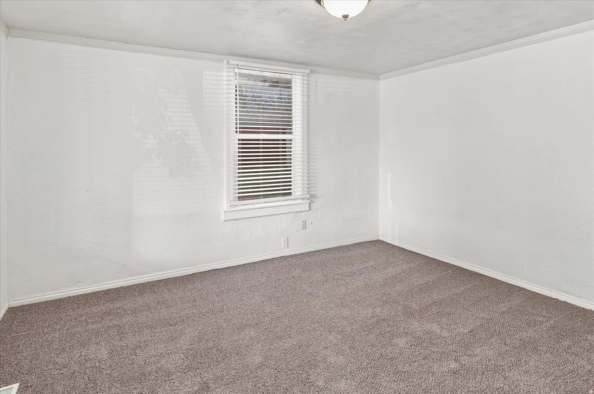 Front room with new cappet