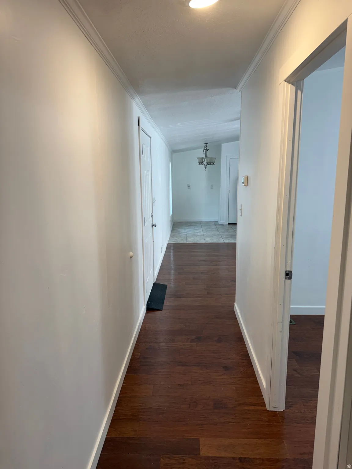 Hallway with wood-finish flooring, white walls, and crown molding