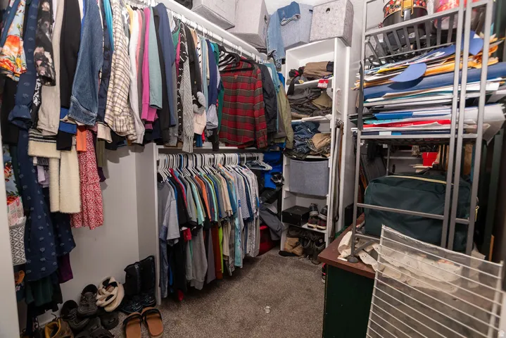 Walk-in closet featuring multiple hanging rods, built-in shelving, carpet flooring, and a freestanding metal storage unit