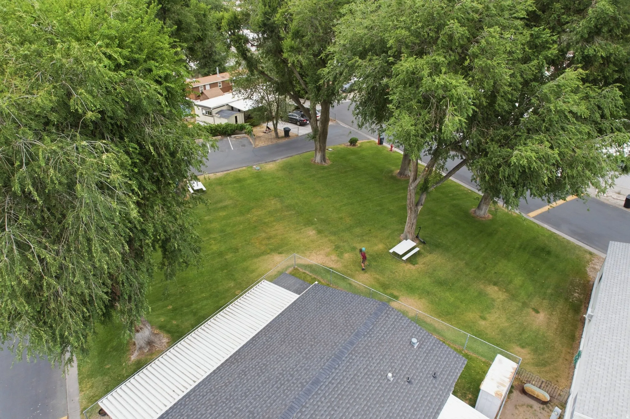 Expansive grassy area featuring mature trees and a picnic table