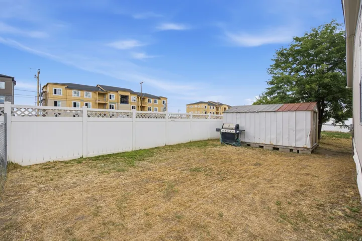 Expansive backyard featuring a white lattice-top fence, mature tree, and a storage shed