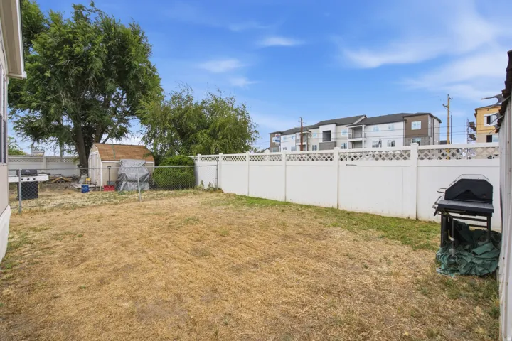Expansive backyard featuring a white lattice-top privacy fence, mature trees, and a functional storage shed