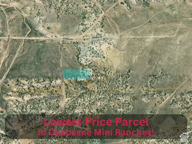 Property Survey Map. Indicating the boundaries and geographic location of the property