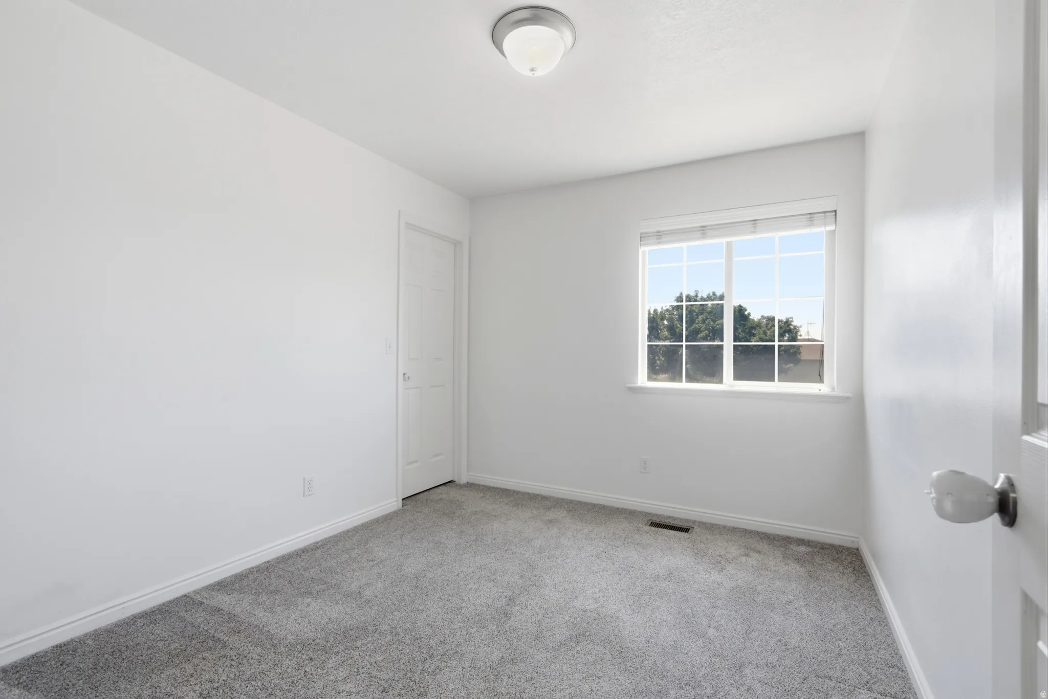Room featuring neutral gray carpeting, white walls, a white ceiling, and a white baseboard trim