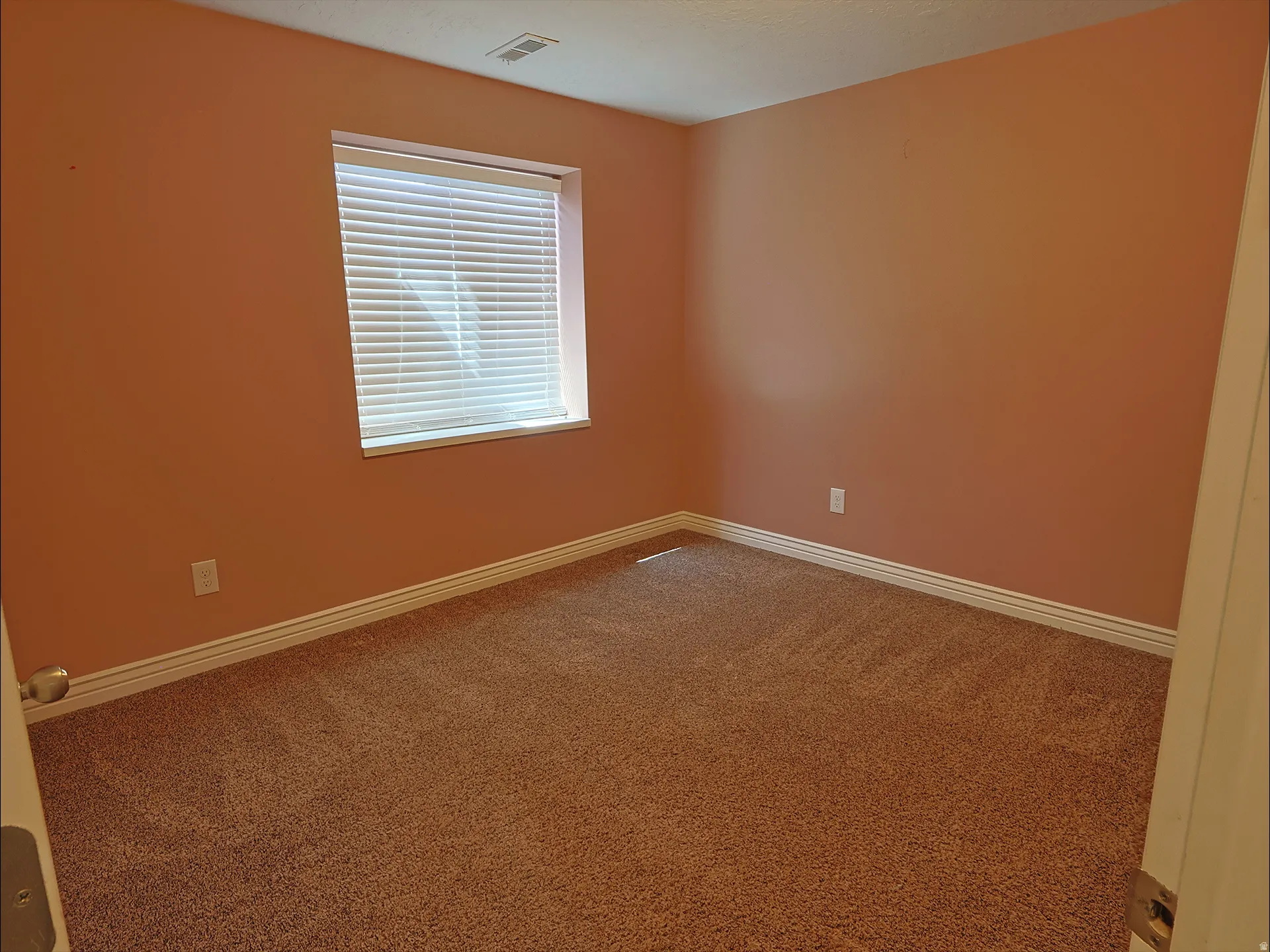 Warm-toned walls complement plush carpeting