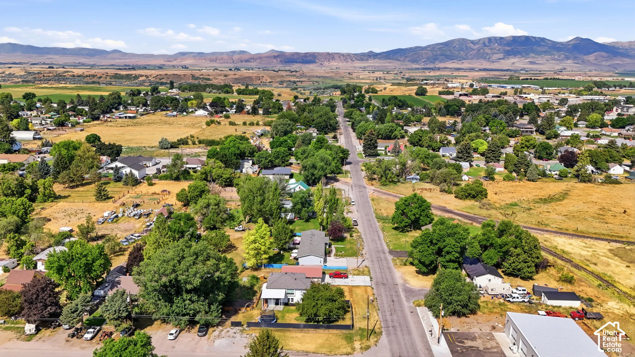 Aerial perspective of a residential area with varied housing styles and mature trees