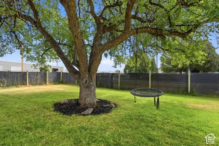 Expansive backyard featuring a mature tree with a mulched base and a lush green lawn