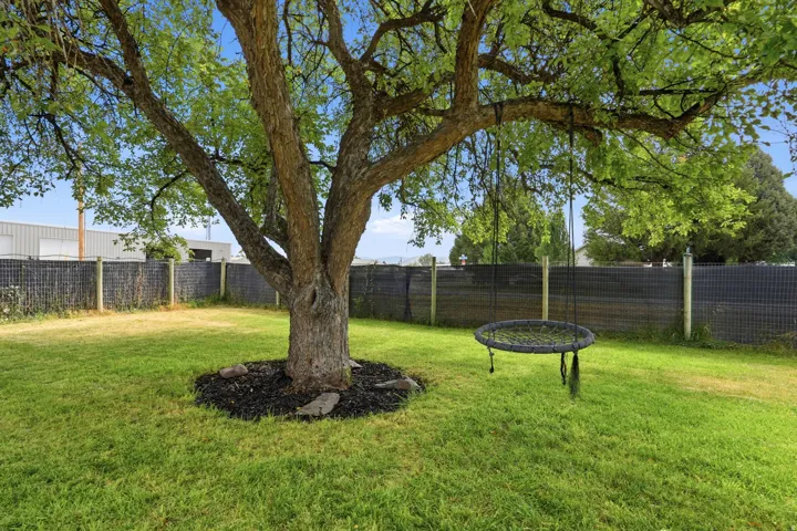 Expansive backyard featuring a mature tree with a mulched base and a lush green lawn