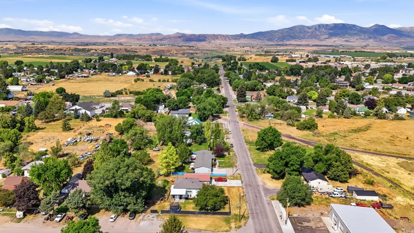 Aerial perspective of a residential area with varied housing styles and mature trees