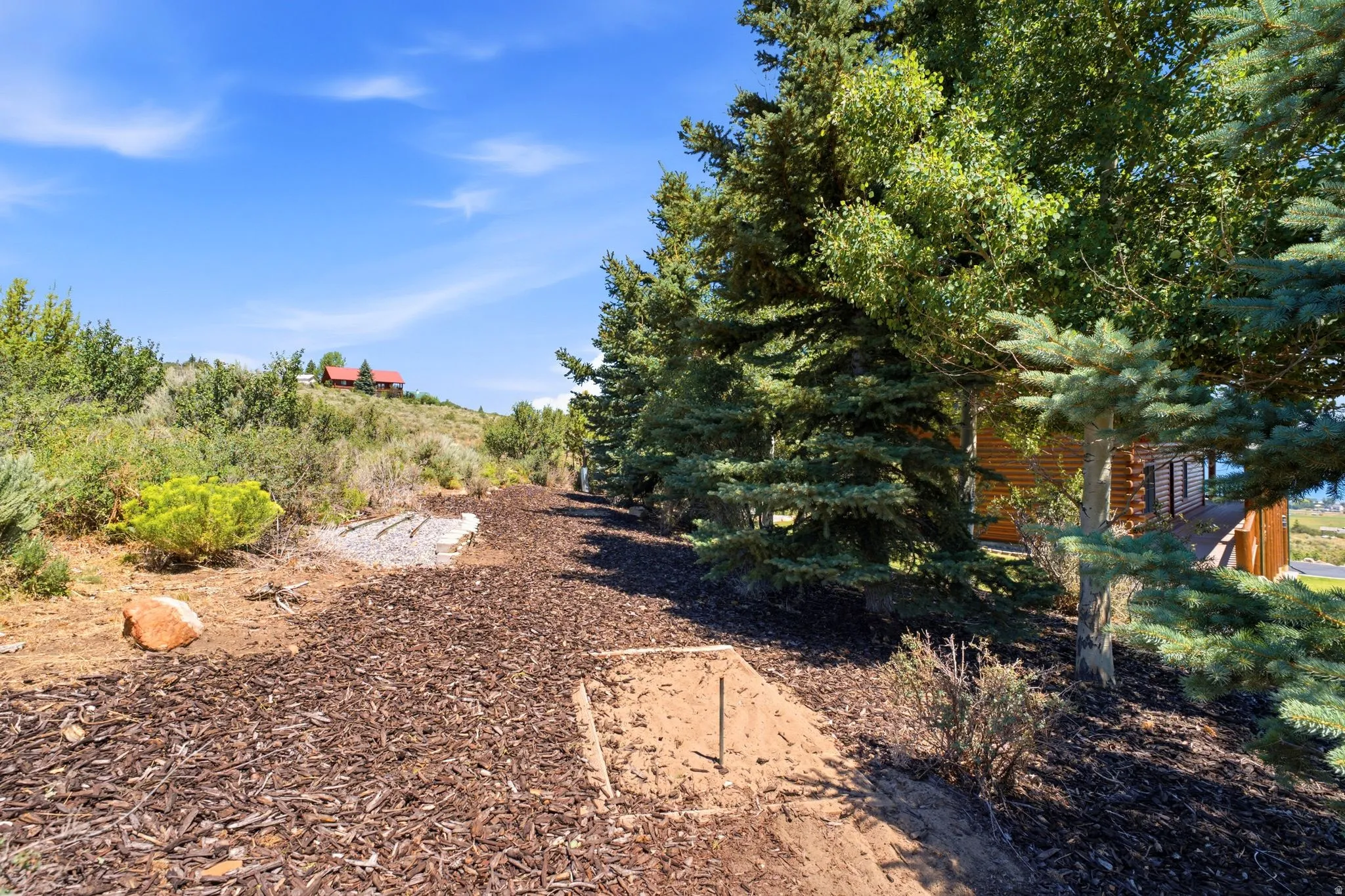 Landscaped pathway with wood chip ground cover and mature evergreen trees