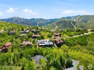 Mountainous landscape with scattered residences and abundant mature trees