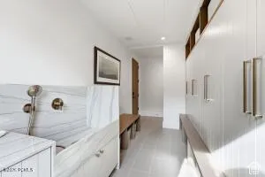 Custom built-in pet bathing station with wall-mounted fixtures