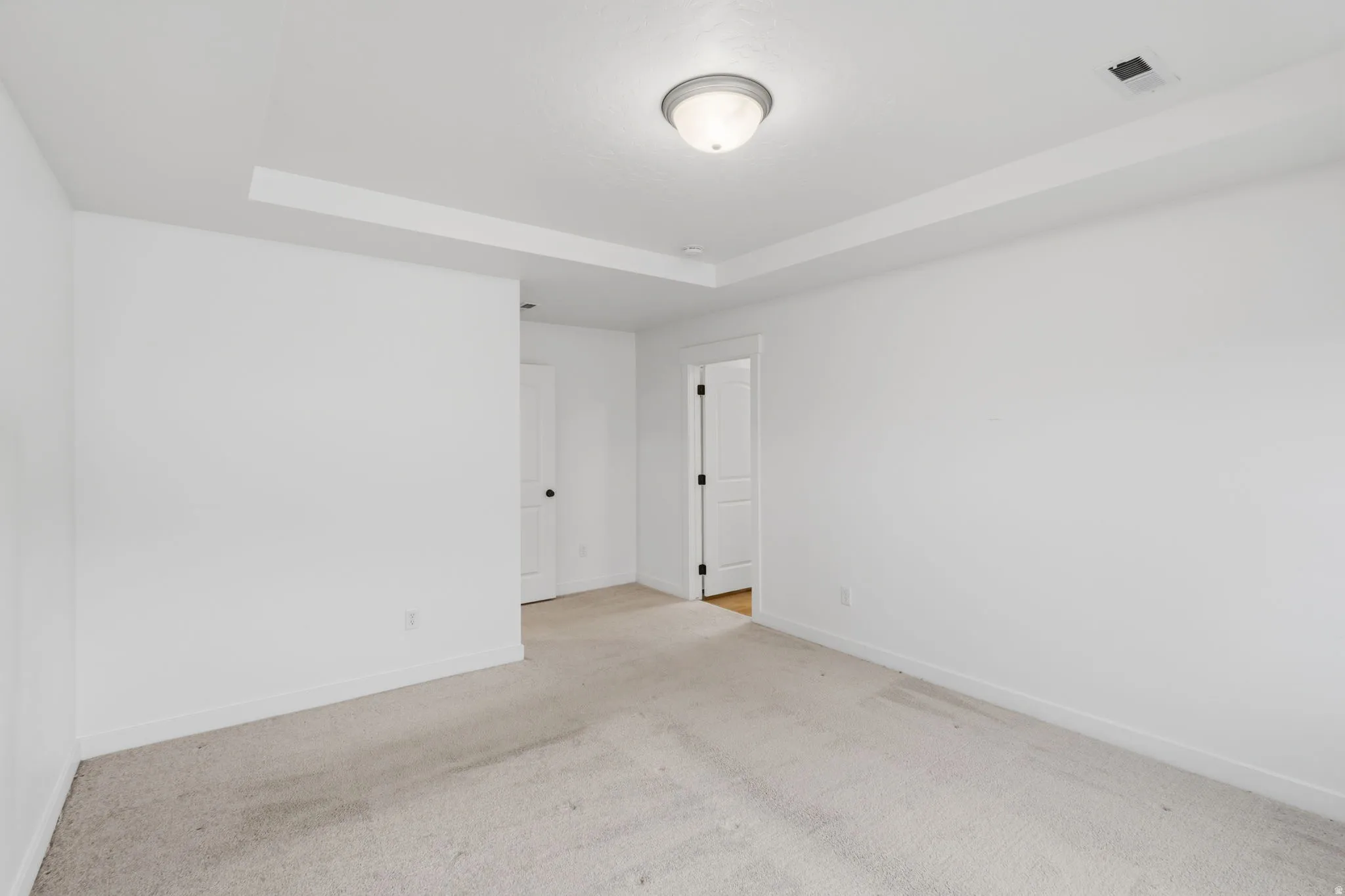 White-painted walls and a tray ceiling with a central flush-mount light fixture