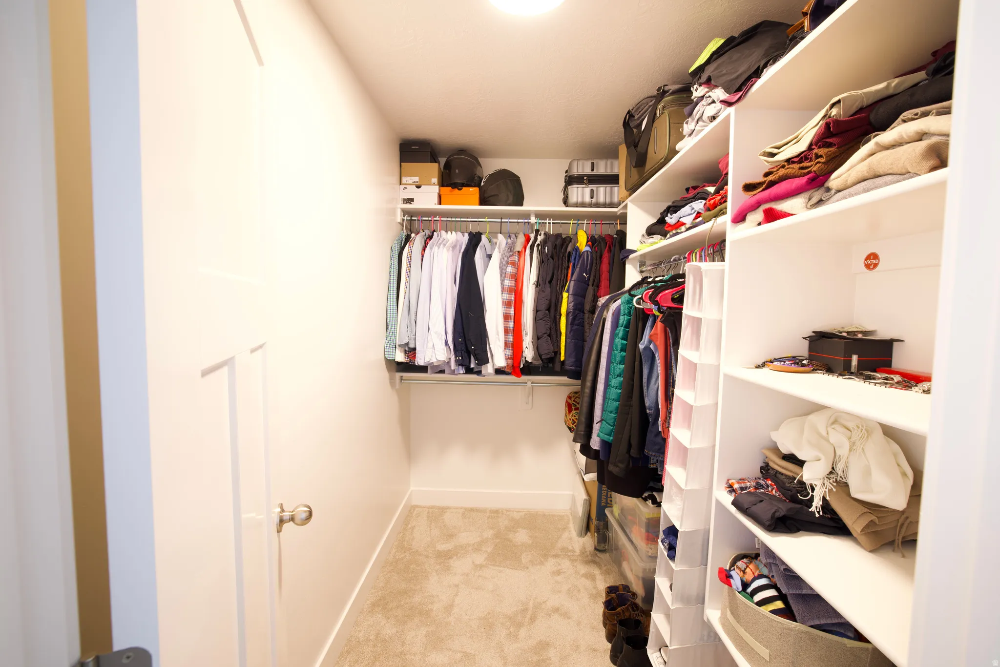 Expansive walk-in closet featuring extensive built-in shelving, multiple hanging rods, durable carpet flooring, and a crisp white color palette