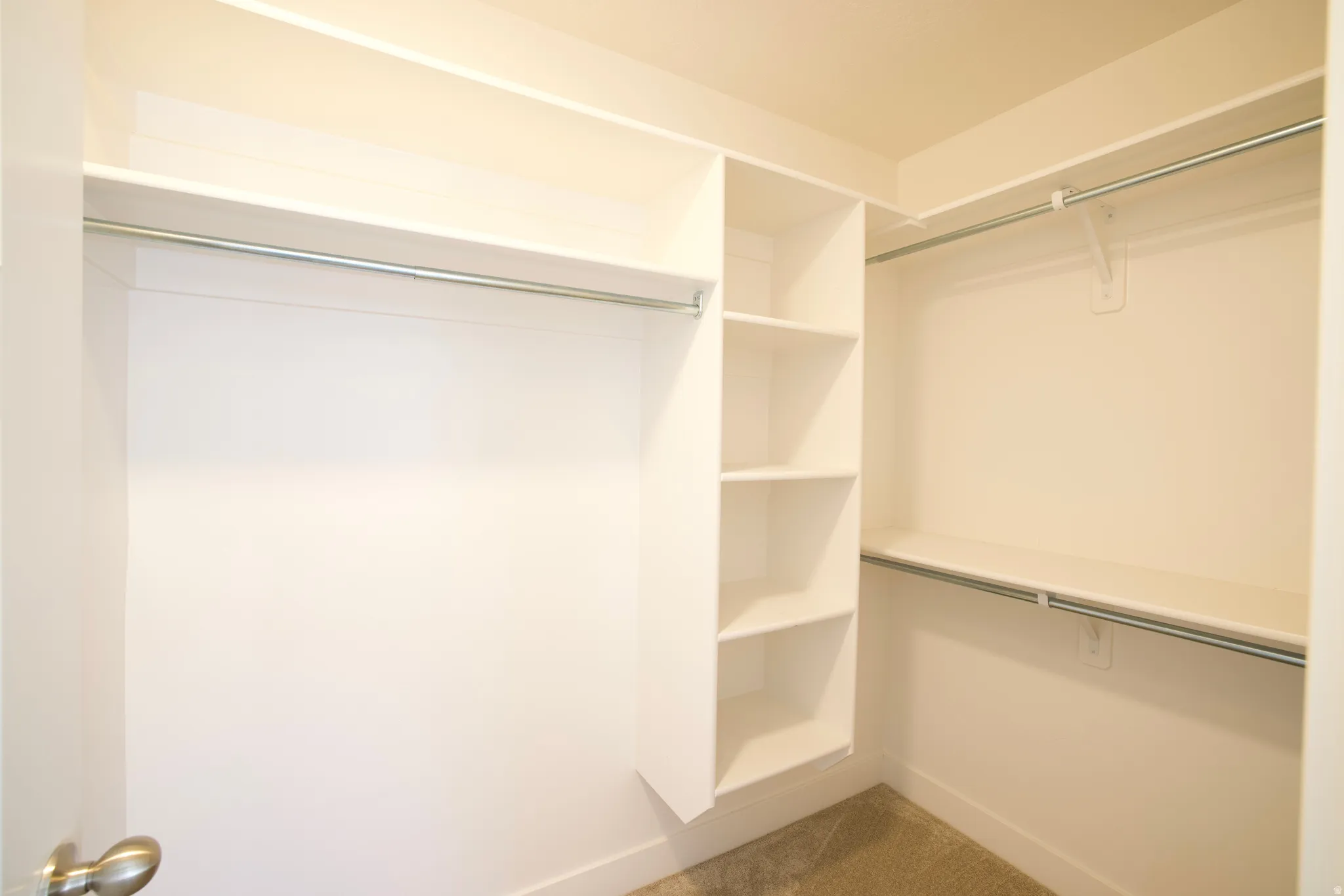 Walk-in closet with built-in shelving, multiple hanging rods, and neutral carpet flooring