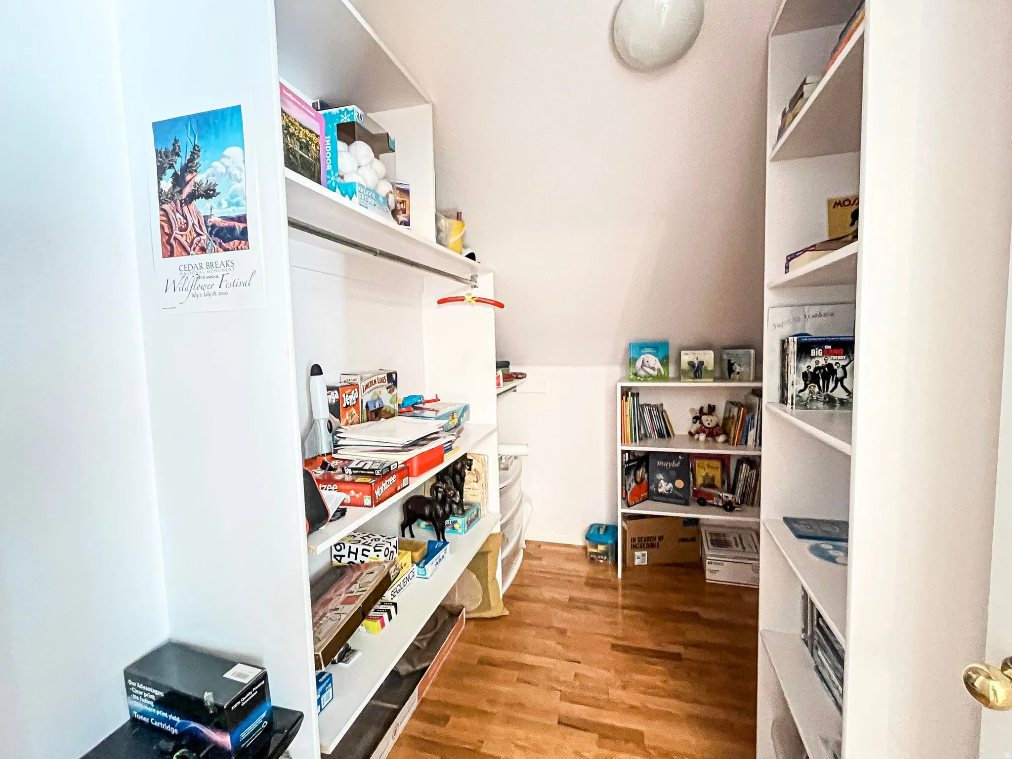 Custom built-in shelving featuring ample storage, recessed lighting, and wood-finish flooring