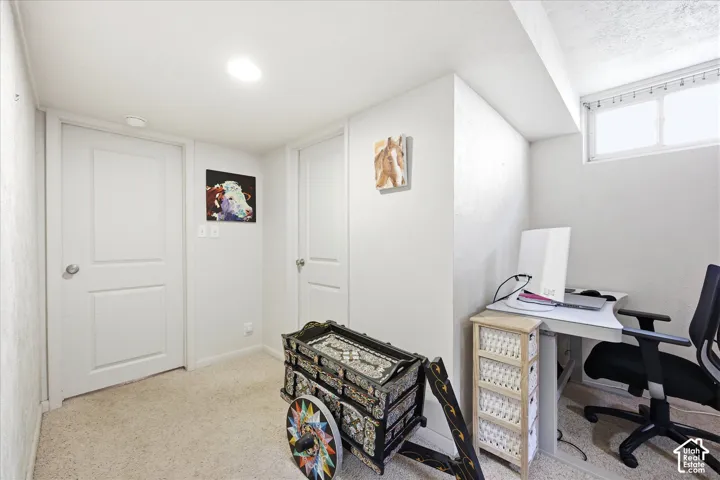 White interior doors and trim
