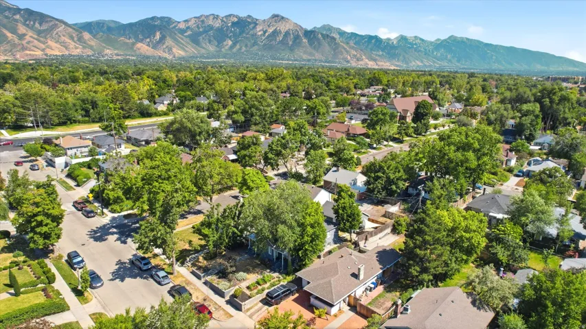 Expansive residential area with mature trees and a mountain backdrop