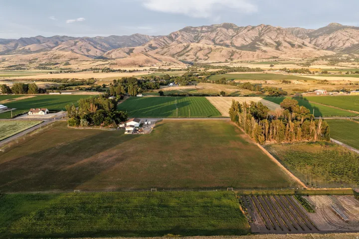 Expansive rural landscape featuring agricultural fields and mature tree lines