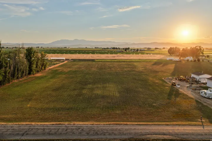 Expansive agricultural land featuring a verdant field, bordering a row of mature trees