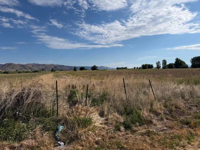 Expansive undeveloped land featuring natural grasses, scattered trees, and distant mountains