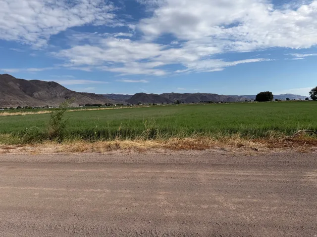 Expansive green field with distant mountain range backdrop