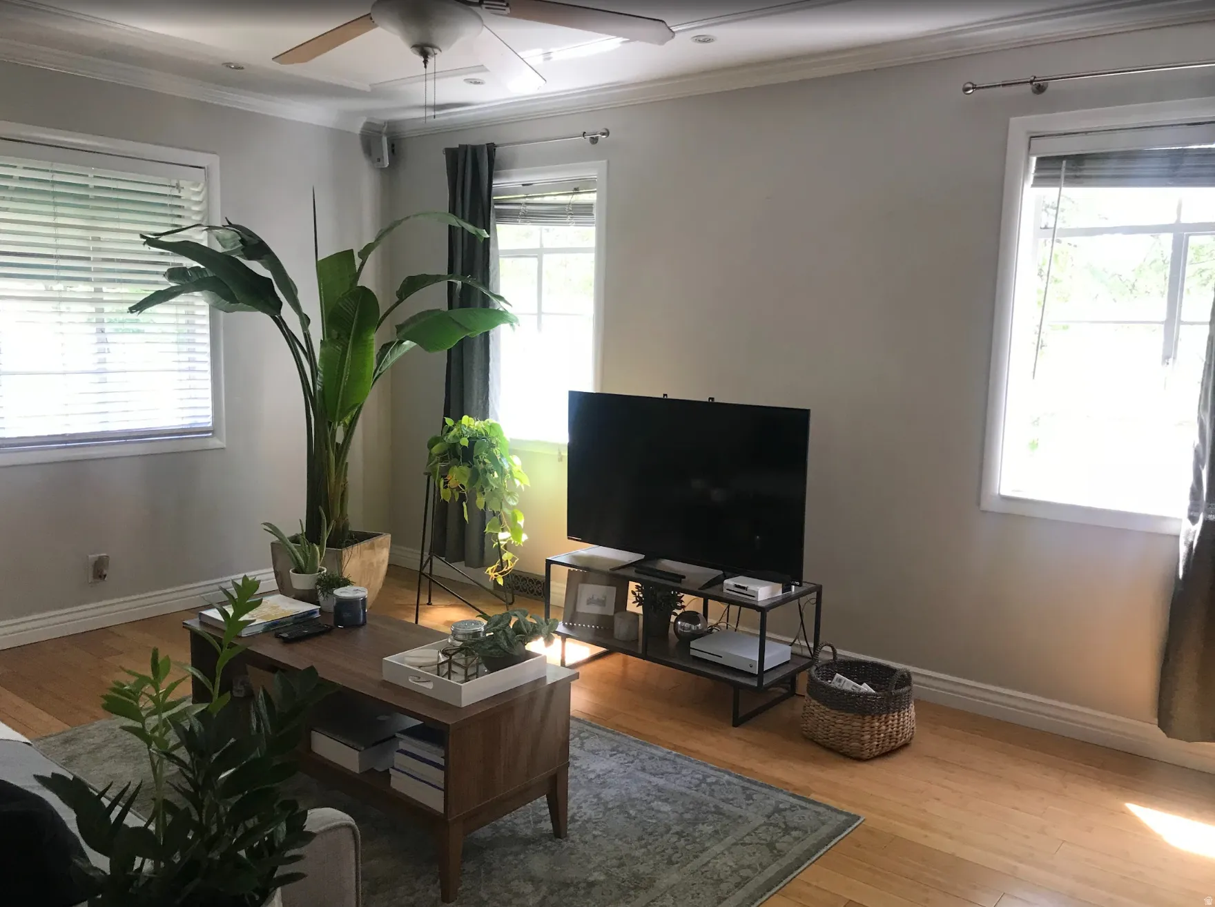 Living area featuring wood-finish flooring, white window blinds, and crown molding