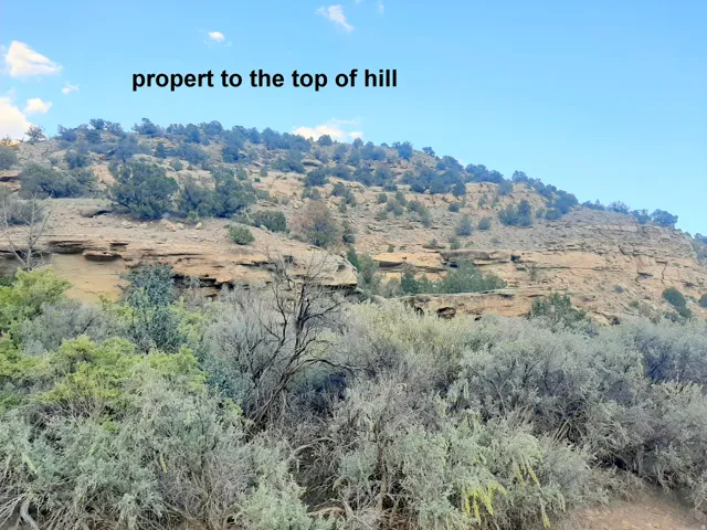 Rolling hillside property featuring natural rock formations, scattered evergreen shrubs, and diverse desert flora