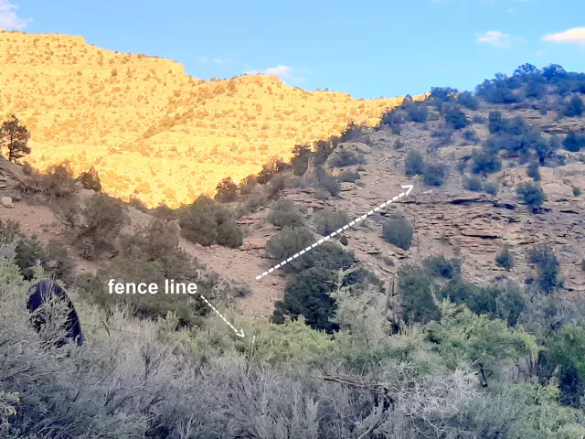 Natural desert terrain featuring varied rock formations and indigenous foliage