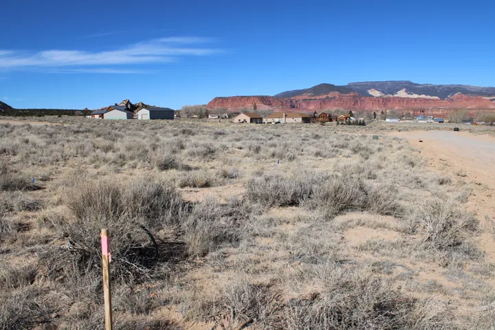 Expansive undeveloped lot with natural vegetation