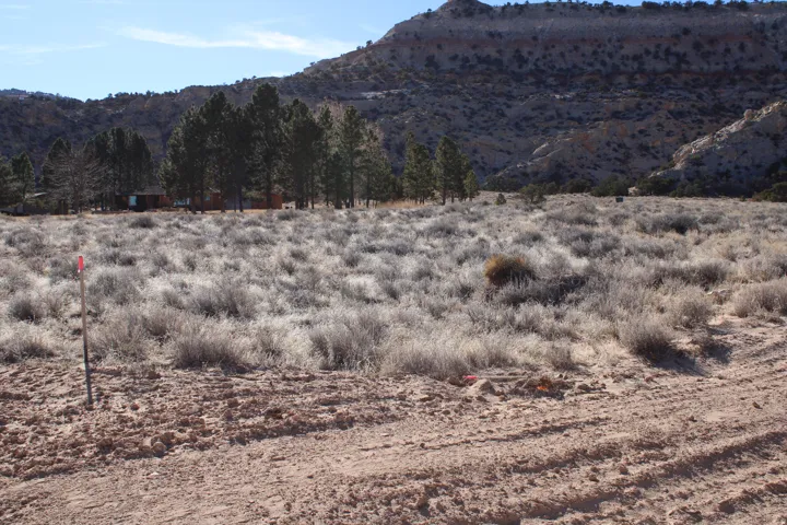 Expansive desert landscape featuring natural brush and a dirt terrain