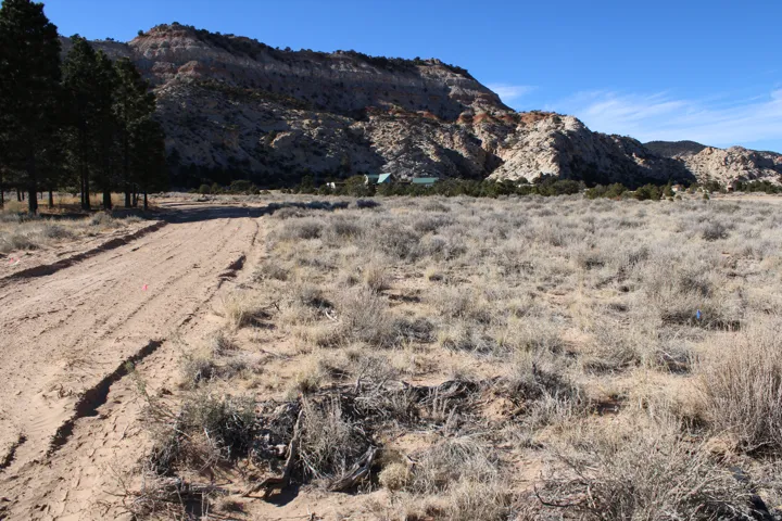 Expansive undeveloped land with a dirt access path