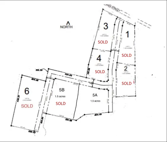 Plot Plan. Illustrating the division and current disposition of the property's lots